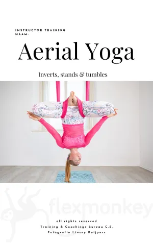 Instructor training Aerial Yoga - Inverts, stands & tumbles (deel 2)